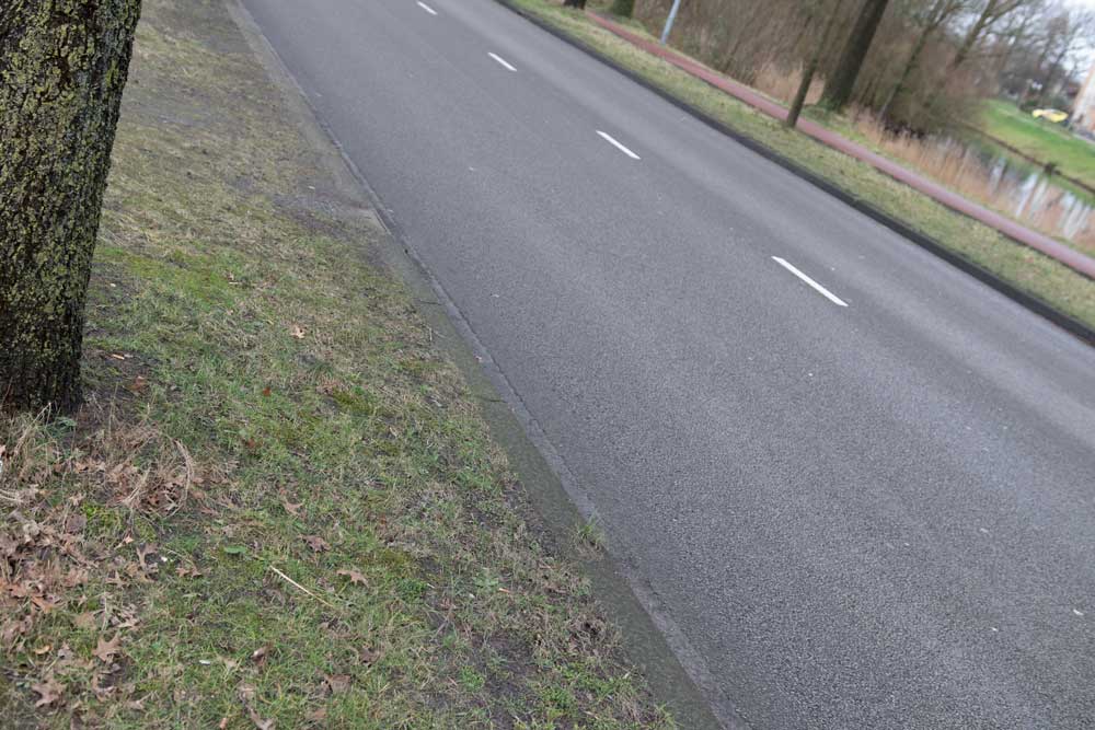 Een verlaten weg met een asfaltweg met twee rijstroken, geflankeerd door grasvelden en een boomstam aan de linkerkant. Een kanaal loopt ernaast, begrensd door kale bomen onder een bewolkte lucht. Perfect om te overdenken 4 tips om veilig langs de weg te werken terwijl je door dit serene pad kronkelt.